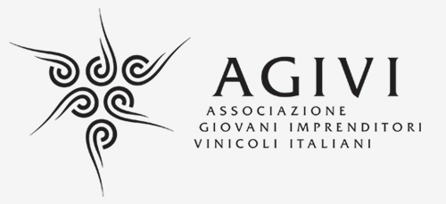 0.AGIVI medium 1