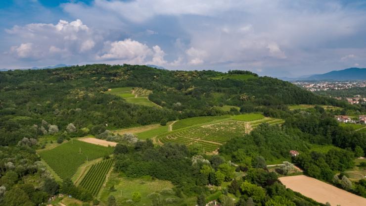 0.Attems vigneti02