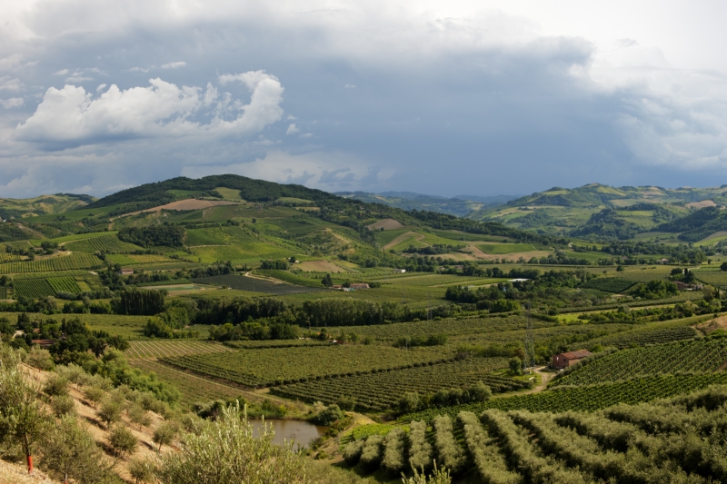 0.Brisighella DSC0810