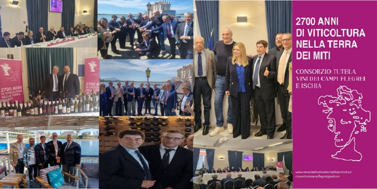 0.CONSORZIO VINI CAMPI FLEGREI