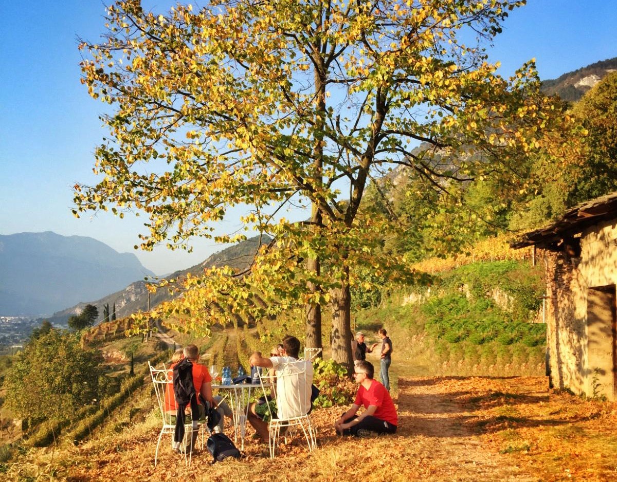 0.DiVinOttobre FototecaStradaVinoSaporiTrentino Ph.L.Campolongo