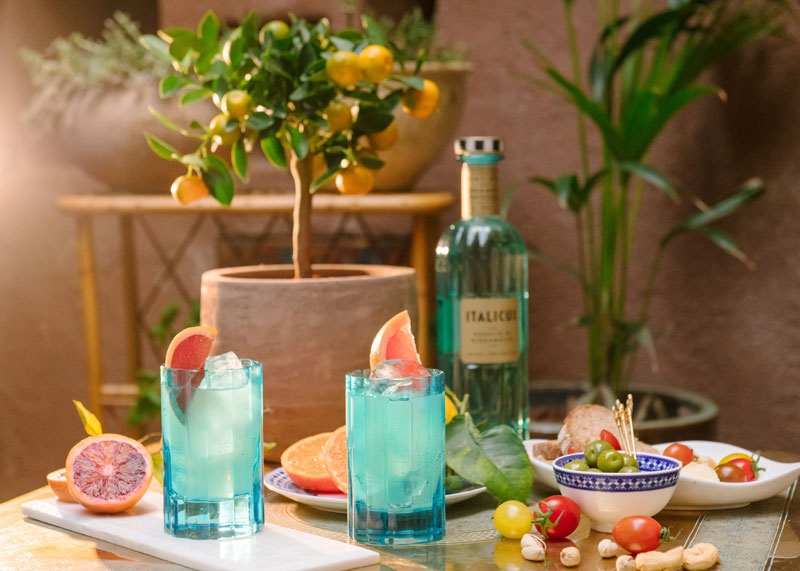 0.ITALICUS CUP low