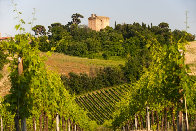0.Romagna Oriolo