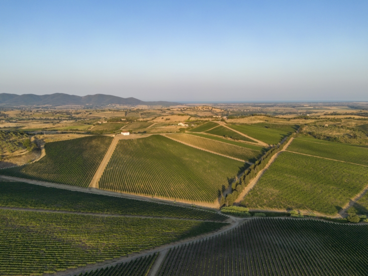 0.Val delle Rose Vigneti mare