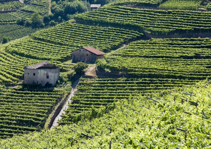 0.Val di Cembra lr