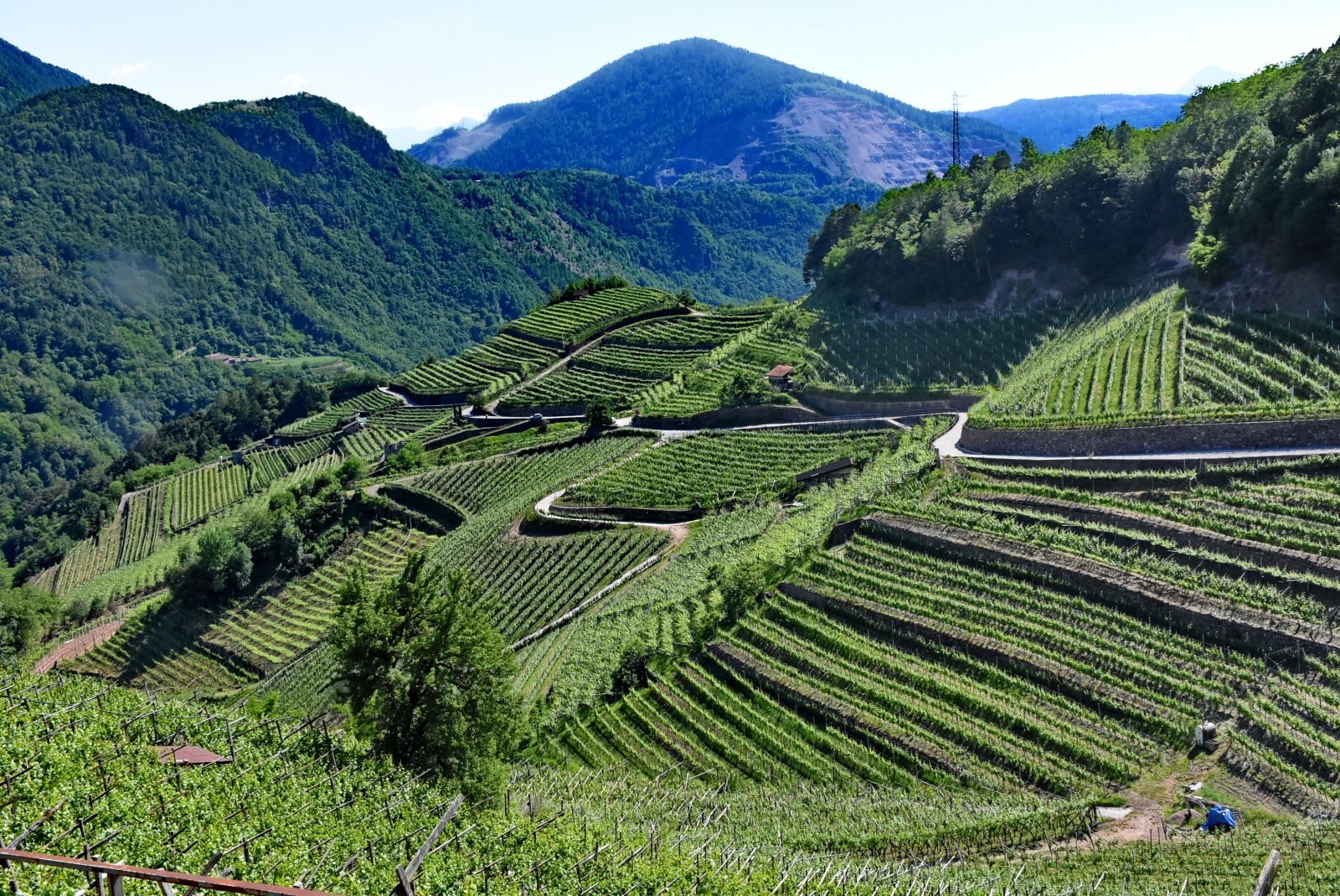 0.Valle di Cembra