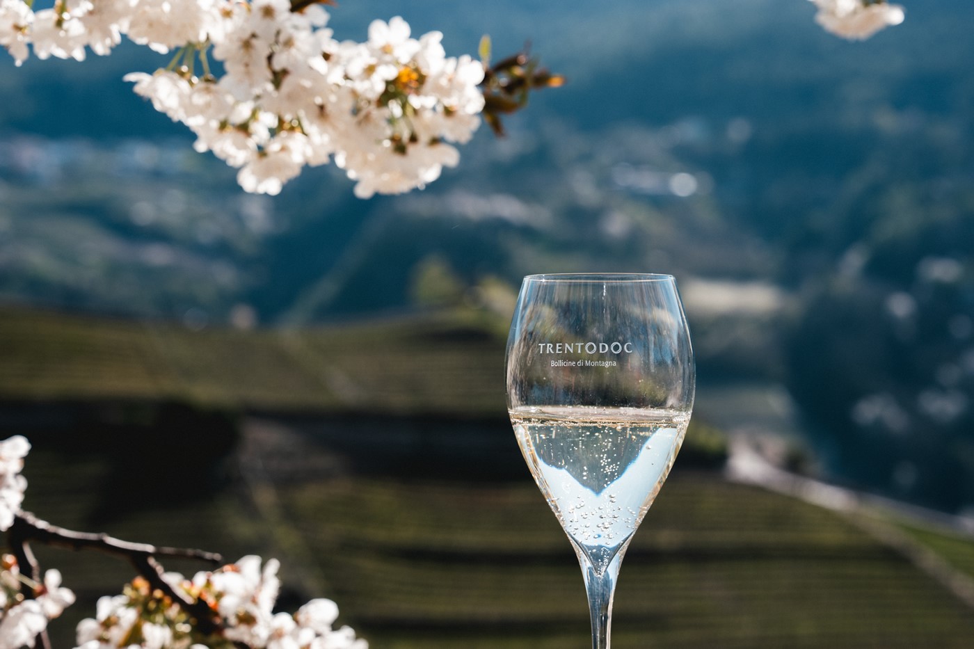 0.Vigneti trentodoc