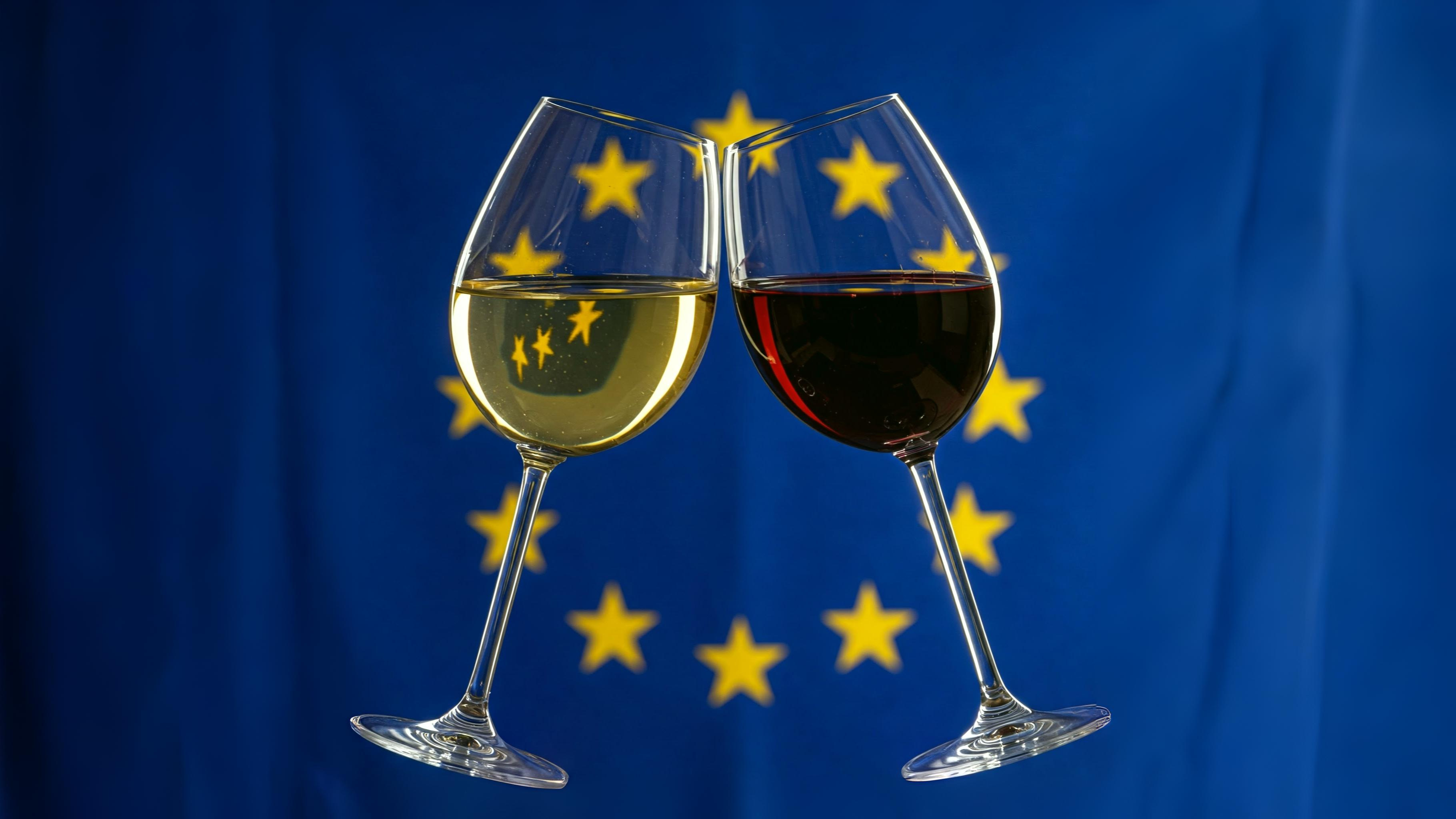 0.ViniCaliciBandieraUe