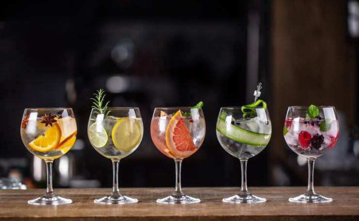 0.degustazione gin