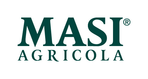 0.masi logo