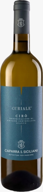Curiale